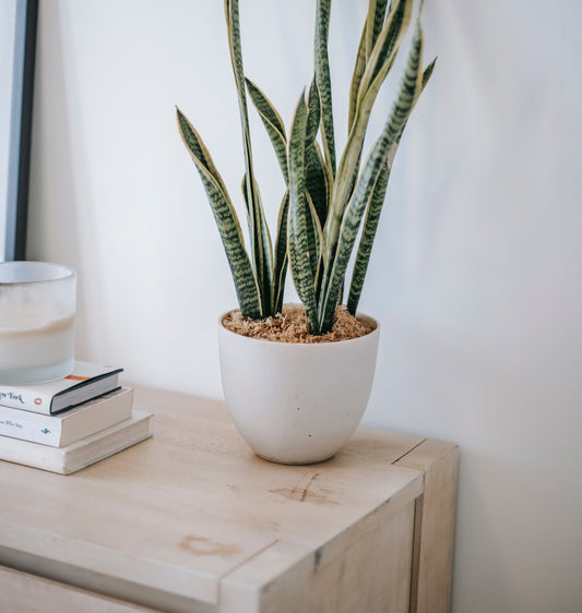 The Concept Of Home Wellness | Creating A Nurturing Space
